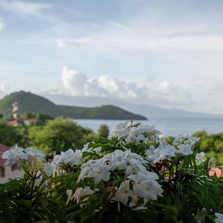 Bungalow Anse Figuier Terre-De-Haut Extérieur photo