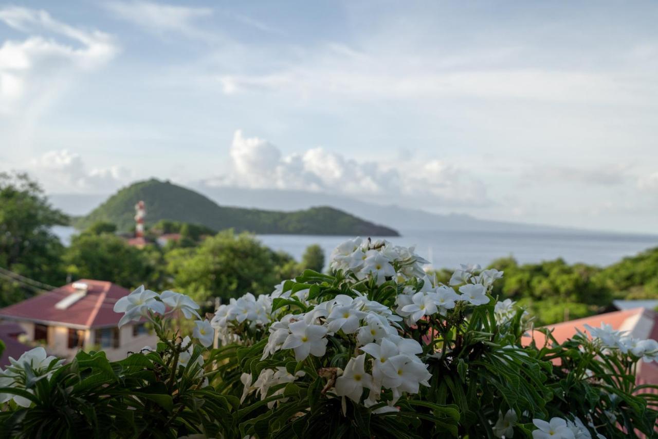 Bungalow Anse Figuier Terre-De-Haut Extérieur photo