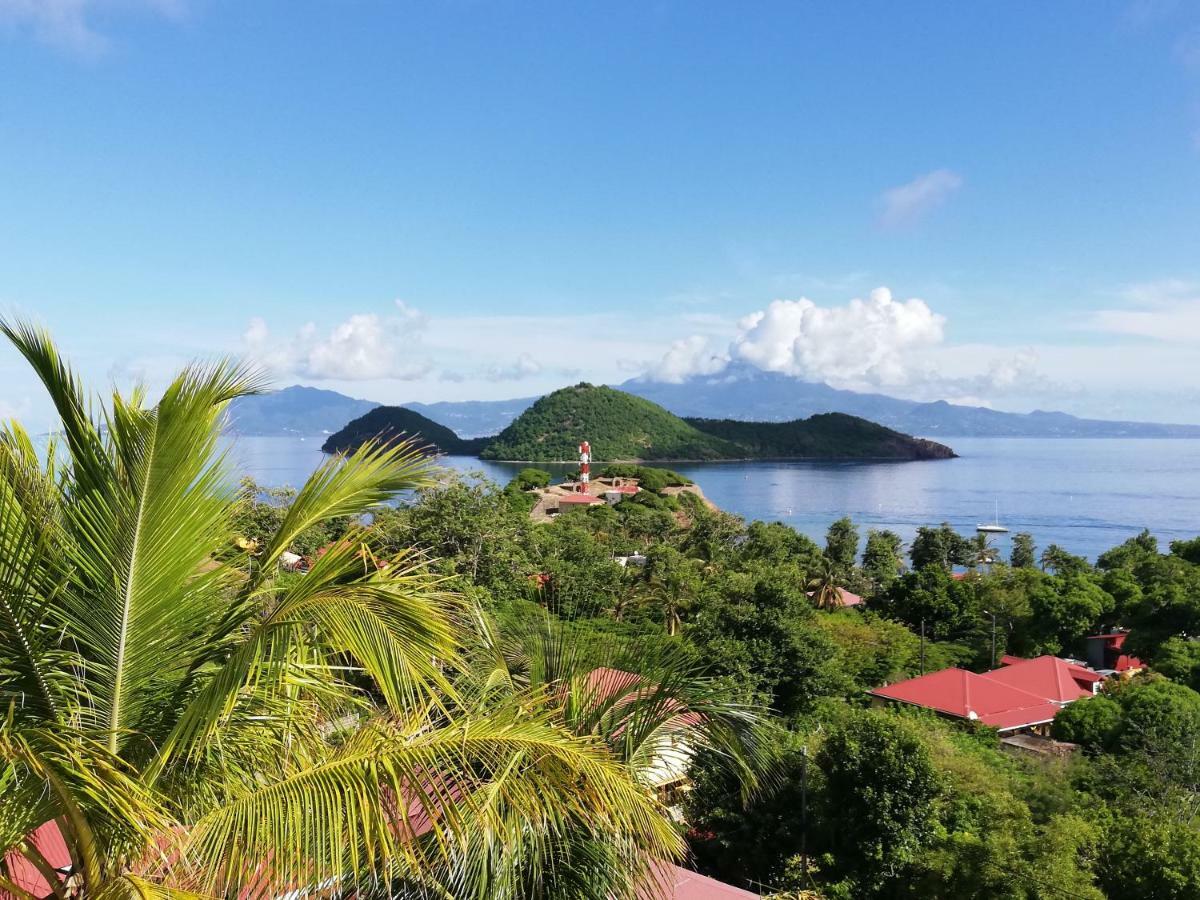 Appartement Bungalow Anse Figuier à Terre-De-Haut Extérieur photo